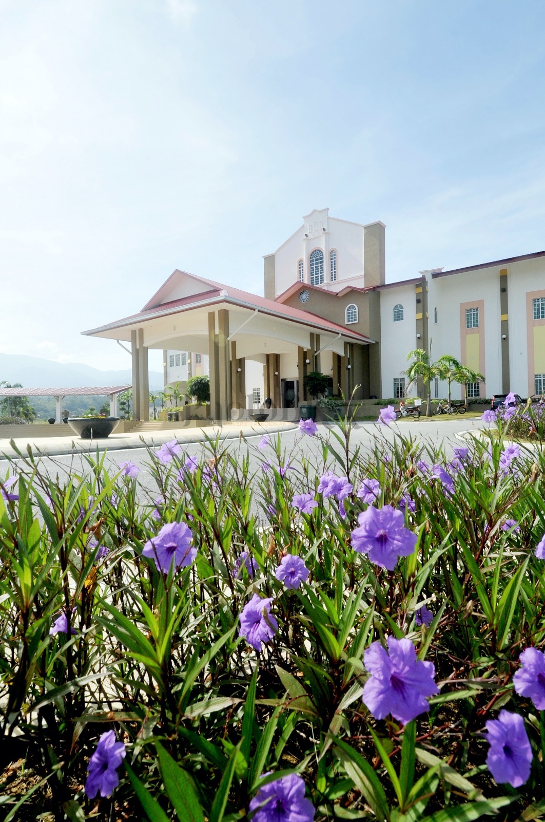 Dewan besar bunga ungu 2